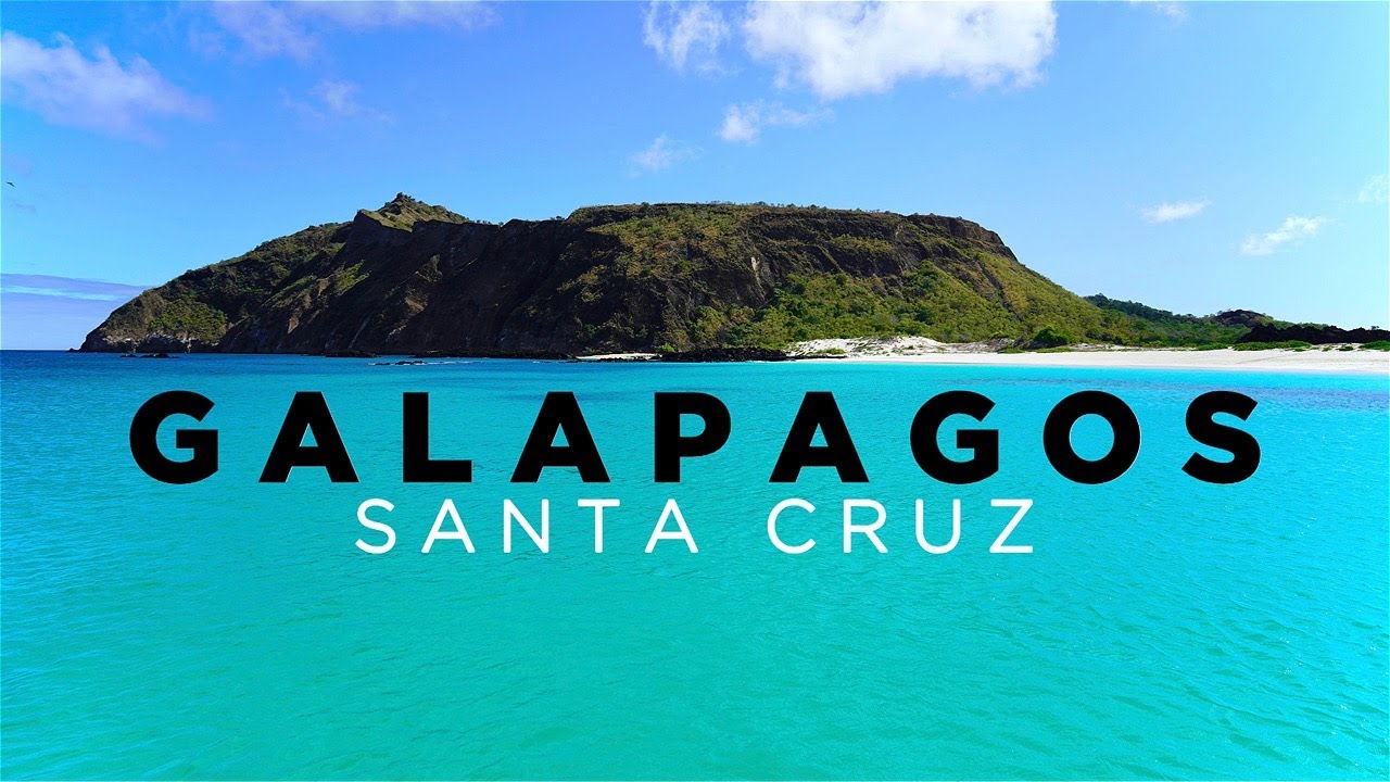 GALAPAGOS: ISLA SANTA CRUZ - Travel Guide to ALL SIGHTS and ISLANDS in 4K